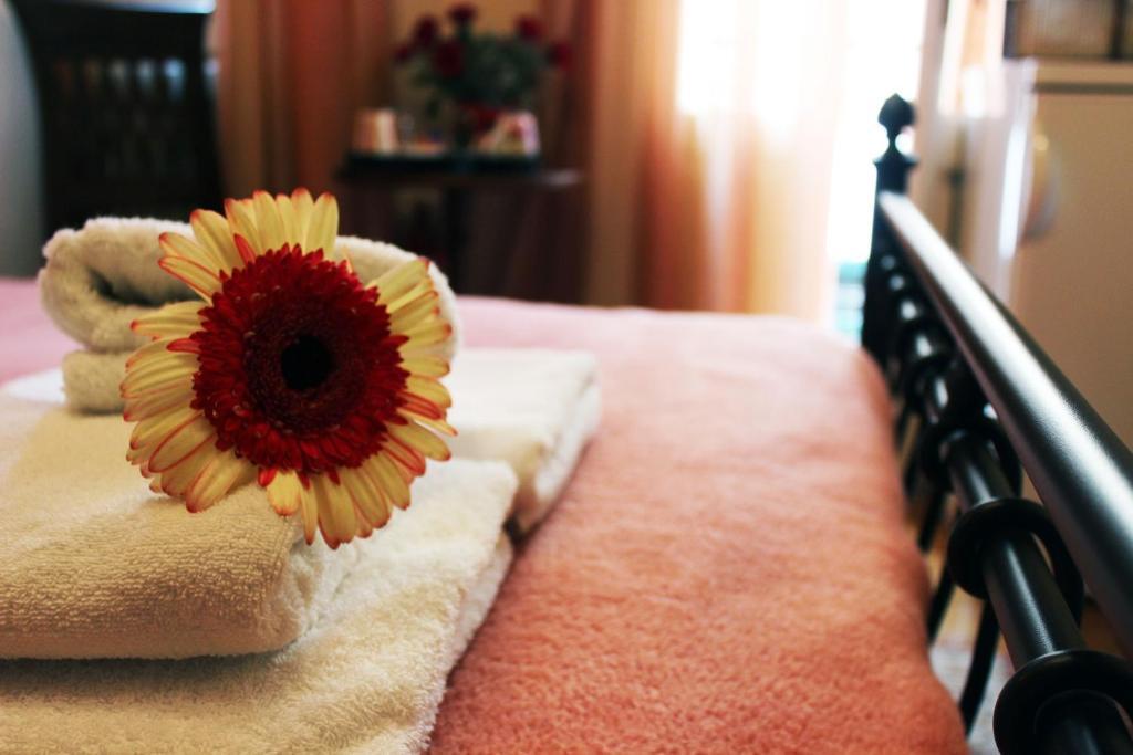 Filyra Pension Anabolu Oda fotoğraf
