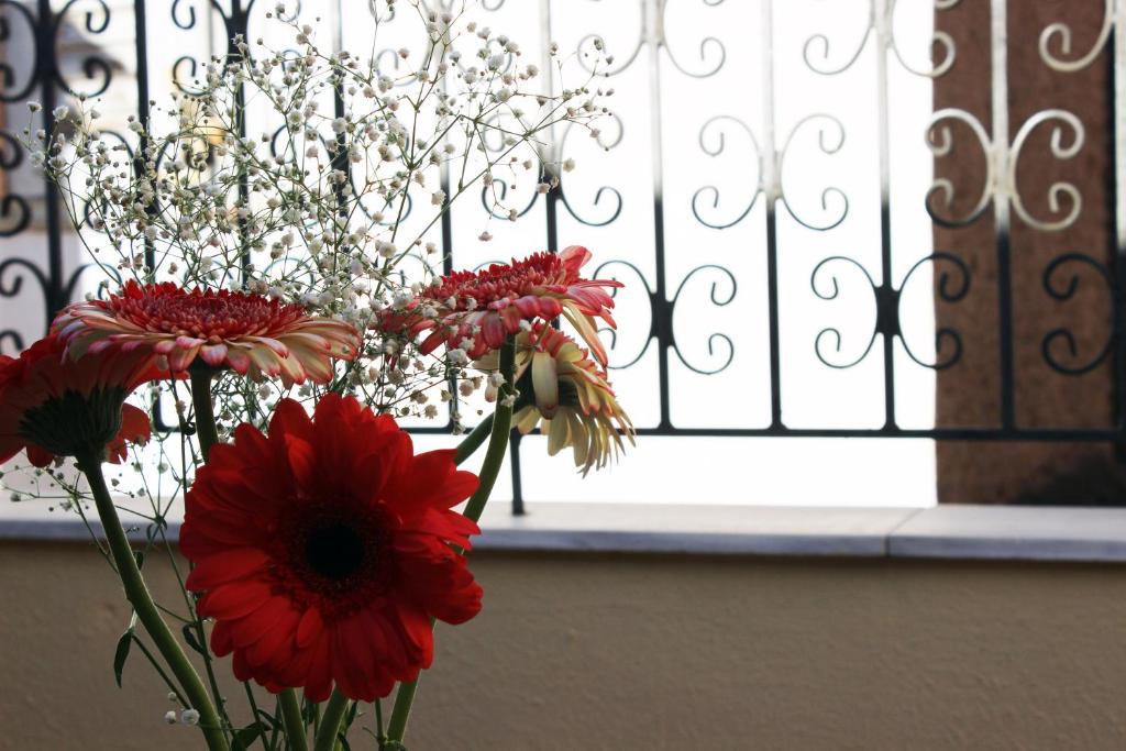 Filyra Pension Anabolu Dış mekan fotoğraf